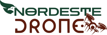 Nordeste Drone logo