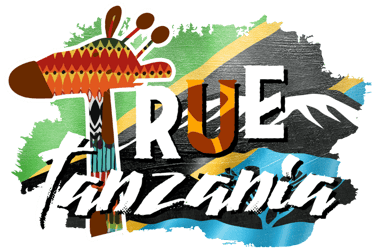 Explore True Tanzania  logo
