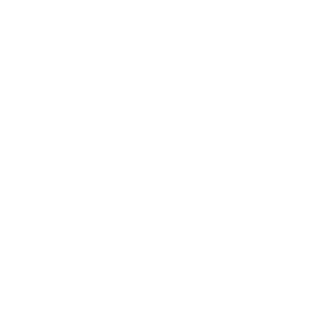 Flexi Muros logo