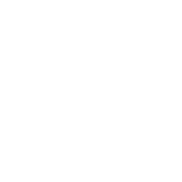 STEMI - Stephen Tong Evangelistic Ministries International logo