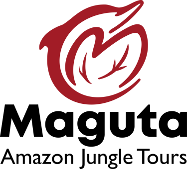 Magüta logo