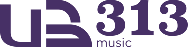 ub313 logo
