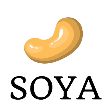 Square Of Youth Association logo