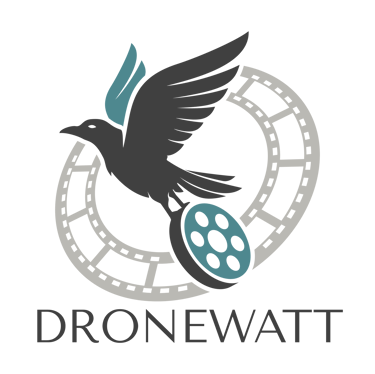 DRONEWATT logo