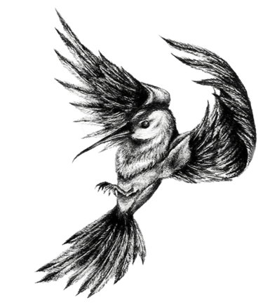 Hartmann-Cardelle Psychotherapie Chur logo