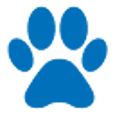 Pomsky Puppies for Sale in Europe | Trusted Pomsky Breeders logo