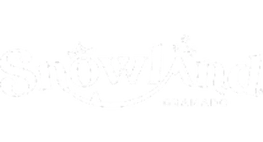 VAMO logo