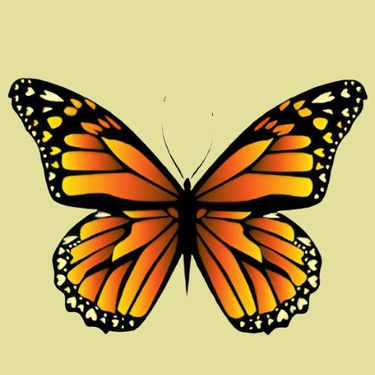 Alma Business Connect logo