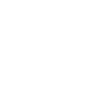 Arnika Premium Salt logo