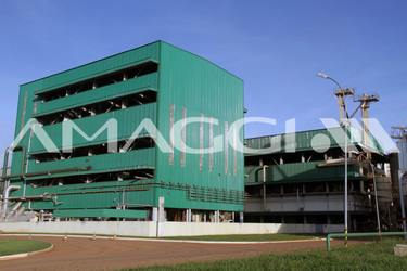 AMAGGII DISTRIBUIDOR logo