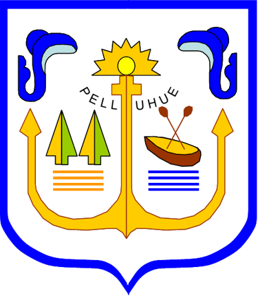 DESCUBRE  SAN CARLOS logo