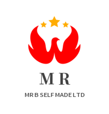 MR B SELF MADE LTD logo