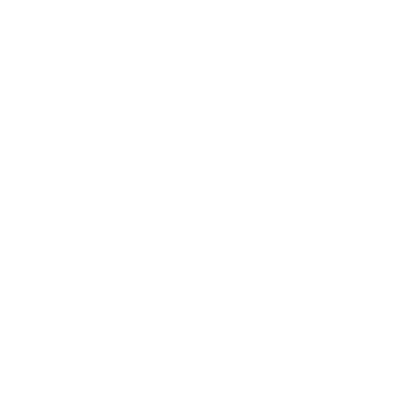 Daniel Terechow Media logo