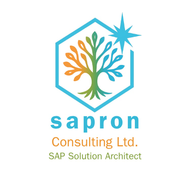 SAPRON Consulting Ltd. logo