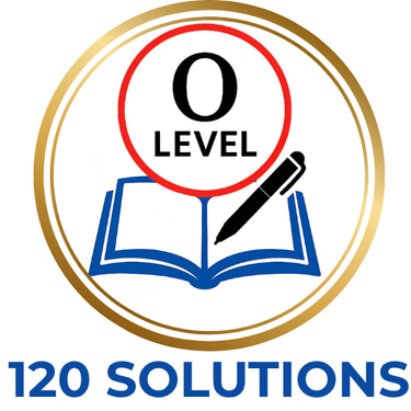 120Solutions – O Level Platform logo