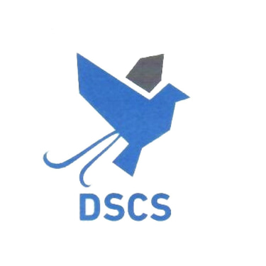 DSCS INTERNATIONAL Study Abroad Consultant logo
