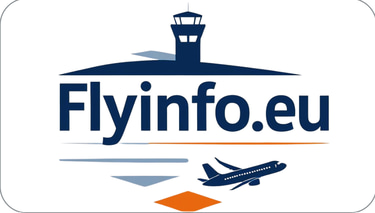 Fly info logo