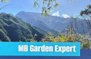 Michael Budde Conseil logo