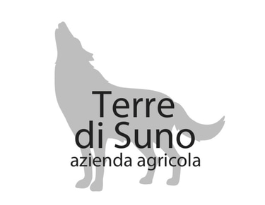Terre di Suno logo
