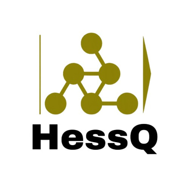 Heesq logo