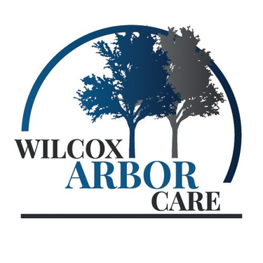 Wilcox Arbor Care logo