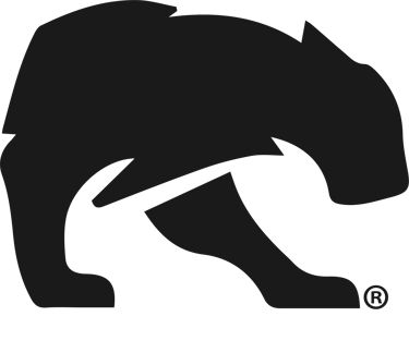 BlackPanther Store logo