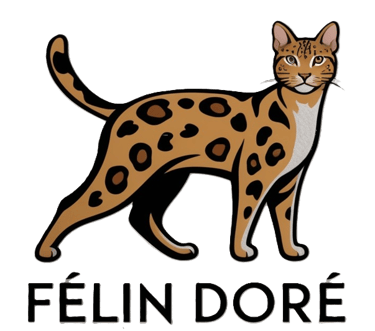 D'ore au soleil logo