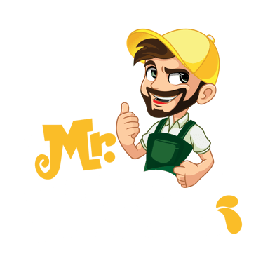Mr. Wash logo