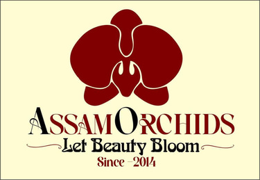 AssamOrchids  logo