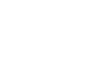 Smart IDBM Group LLC logo