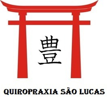 Quiropraxia Sao Lucas logo