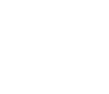 Overasia Transport logo