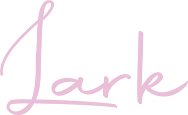 Lark logo