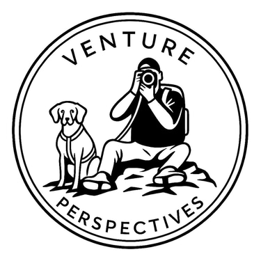 Venture Perspectives logo
