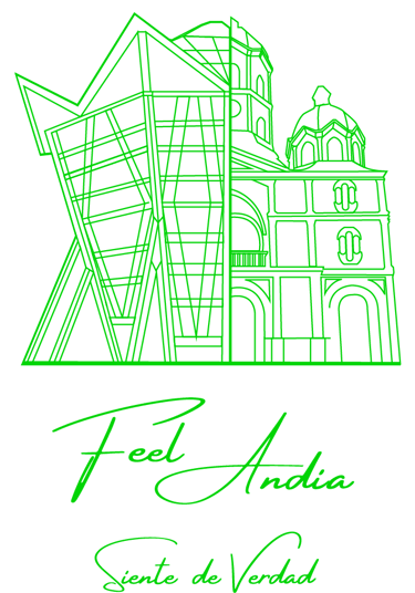 Feel Andia logo