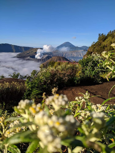JavaBali Tours, Balijava Tours & Labuanbajo Tours logo