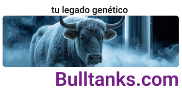 BULLTANKS logo