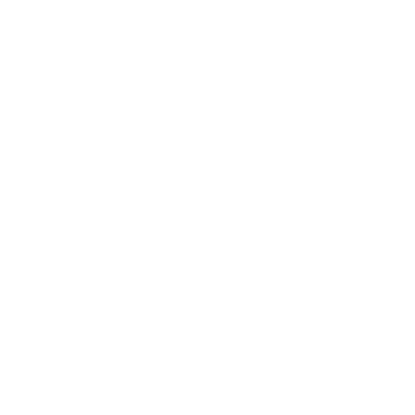 LIZ MEDICAL SPA logo