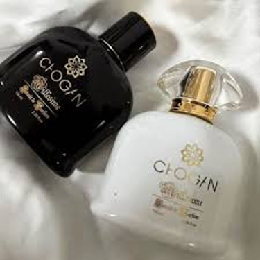 Perfumes and Gifts Store logo