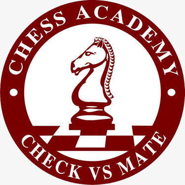 checkvsmateacademy logo