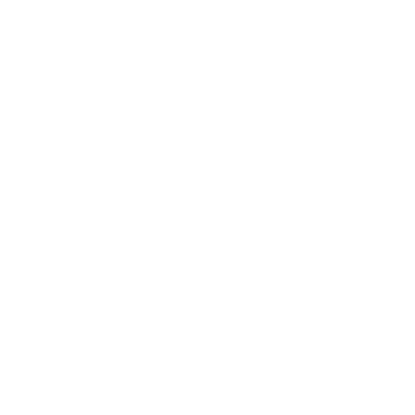 Ossobone logo