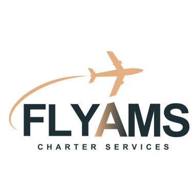 Flyamsc logo