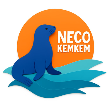 KemkemConnect logo