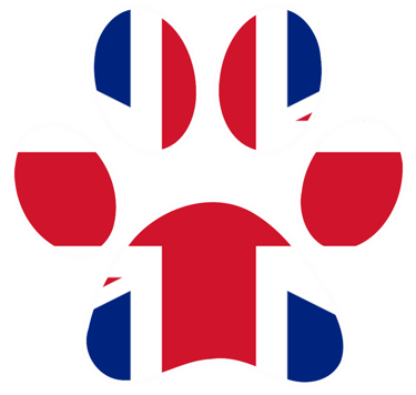 VETERANS DOGS logo