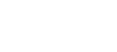NVO teisės institutas logo