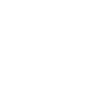 Carolina & Vinicíus logo