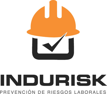 INDURISK logo