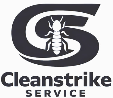 Cleanstrke Service logo