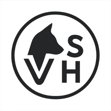 Voyance et Sorcellerie Houssam logo