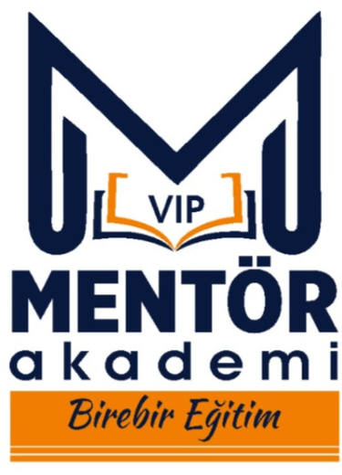 VIP Mentor Akademi logo